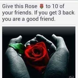 Meet your Posher, Cecilia